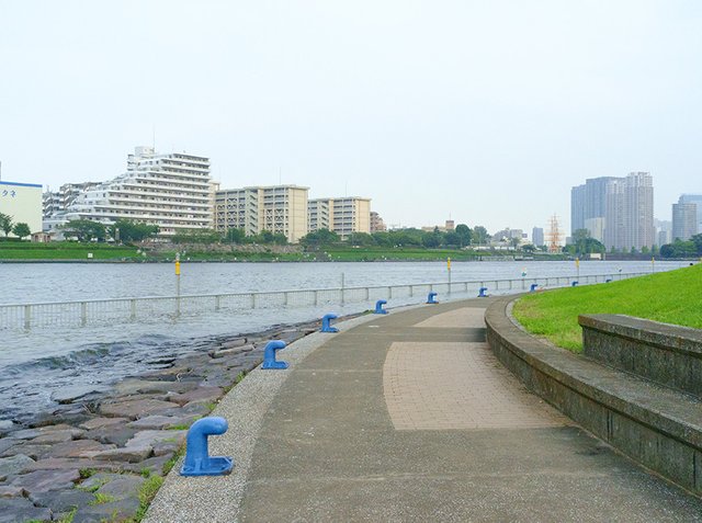 sumida6.jpg