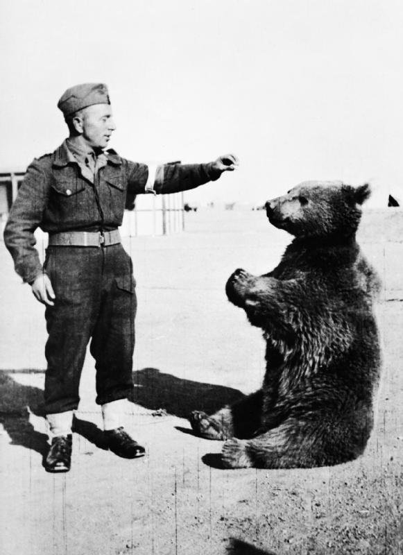 Wojtek_the_bear.jpg