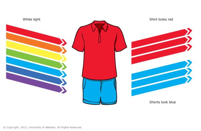 Red-shirt-and-blue-shorts20150805-30610-1aagaua.jpg