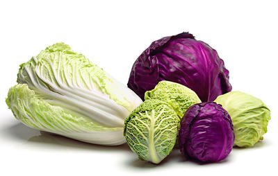 1-cabbage-variety.jpg