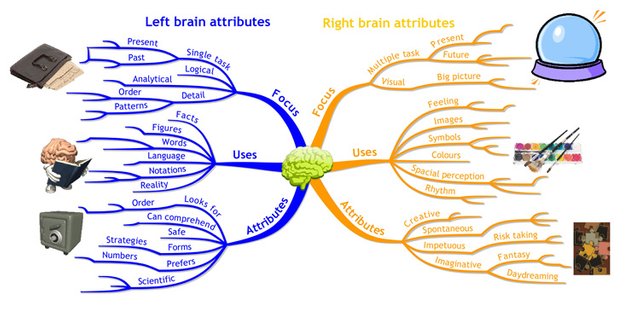 left-brain-right-brain-mind.jpg