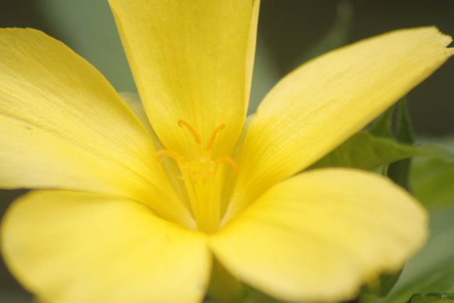 _MG_6628.JPG
