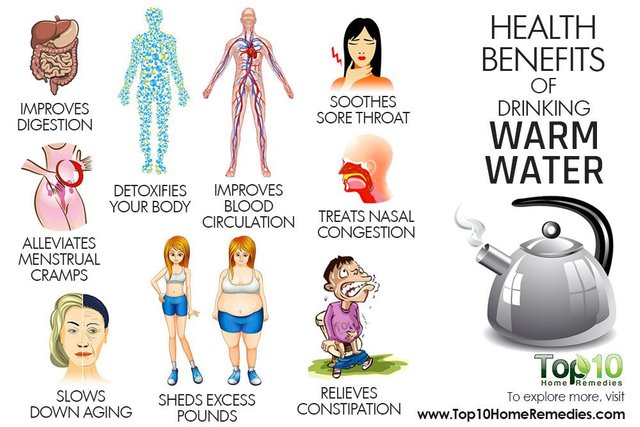 THE BENEFITS OF DRINKING WARM WATER