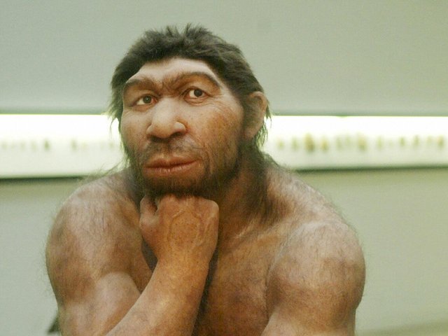 neanderthal.jpg