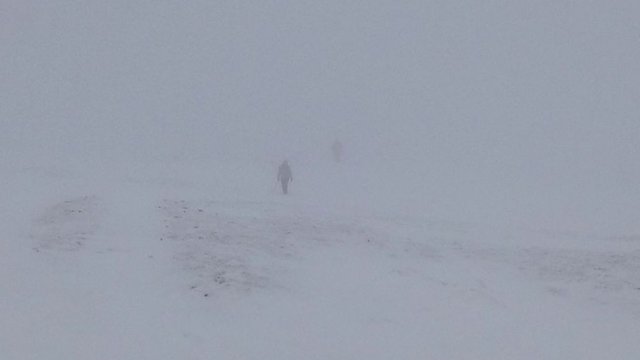 Whiteout at top of plateau.jpg