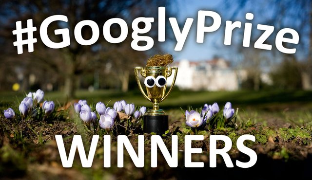 GooglyPrize Winners 34