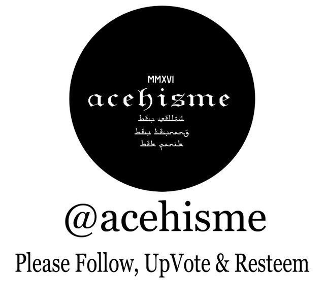 ACEHISME00534.jpg