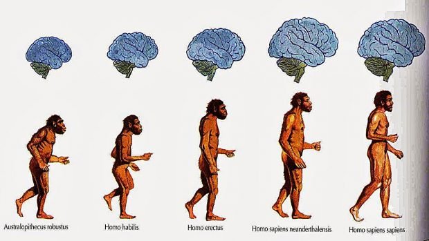 origen-del-hombre-teorias-evolucion-a-620x349.jpg