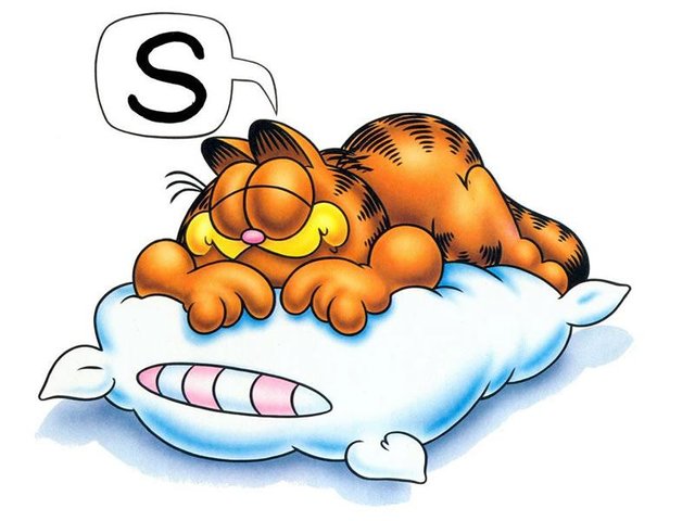 Sleep-Garfield.adfda5eac93f86b7cec2b96e433a4fe6.jpg