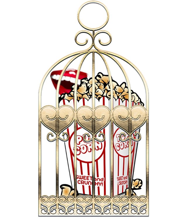 popcorn cage.jpg