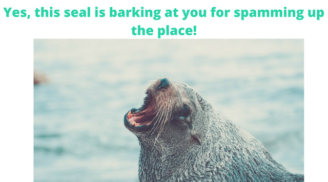 Yes, this seal is barking at you for spamming up the place!.png