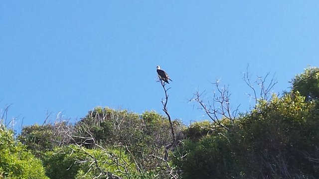 20150928_153305.jpg