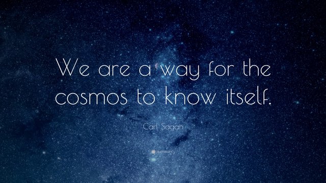 3234-Carl-Sagan-Quote-We-are-a-way-for-the-cosmos-to-know-itself.jpg