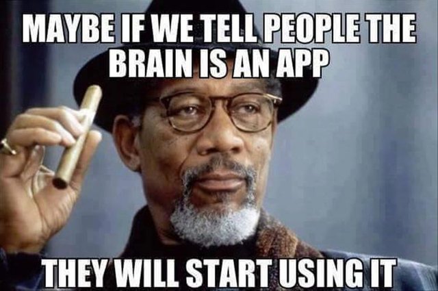 BRAIN APP MEME.jpg