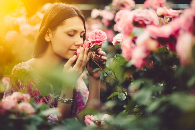best-smelling-flowers.jpg