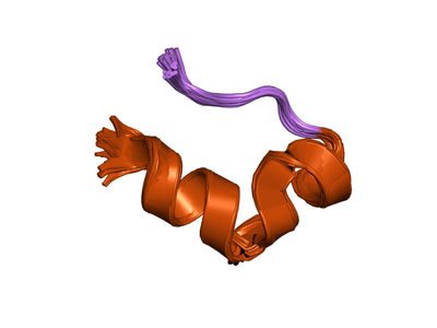 PDB_1l2y_EBI-.jpg