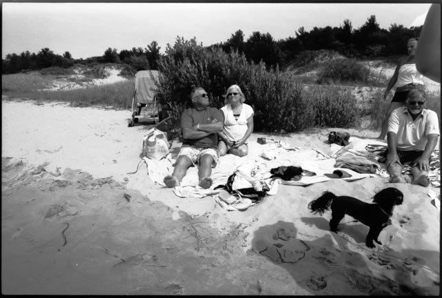 doggie on the beach.jpg