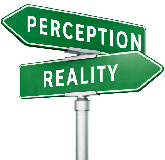 140723-Perception-v-Reality.png