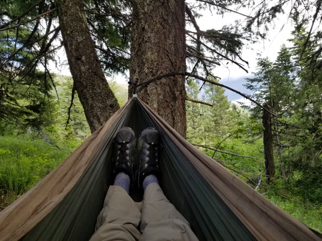 20170610_162950.jpg