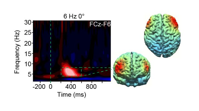 New-Research-Could-Lead-to-Tools-to-Enhance-Brain-Function.jpg