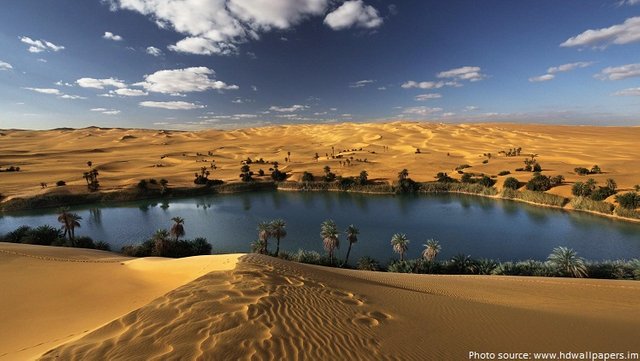 sahara-desert-oasis.jpg