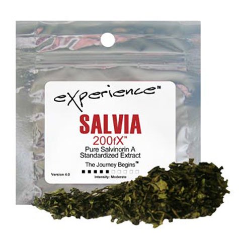 salvia200x1gram-4.jpg