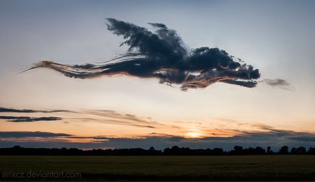 a dragon on the clouds.JPG