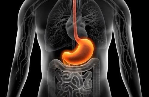 cure-gastritis-500x325.jpg