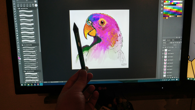 Parrot_PS.png