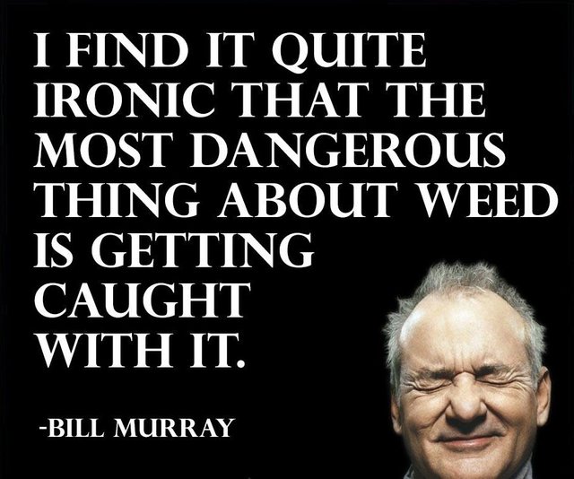 Marijuana-Quotes-4.jpg