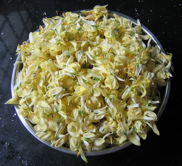 Moringa_oleifera_flowers_ready_to_be_cooked.jpg