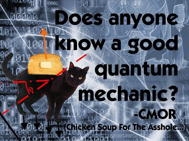 Quantum Cat...jpg