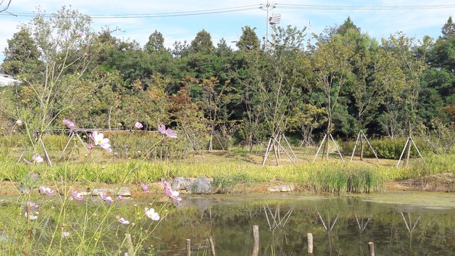 20170914_150919.jpg