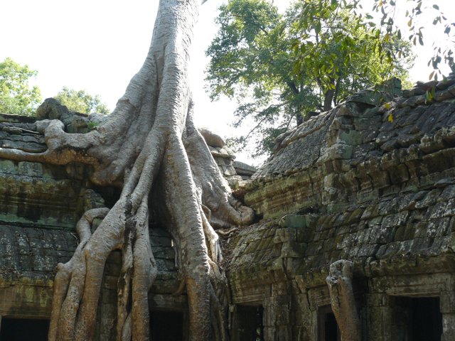 CamThaiLaos 084.jpg
