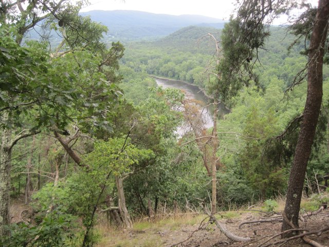 Canon PowerShot SD1200 IS255.JPG