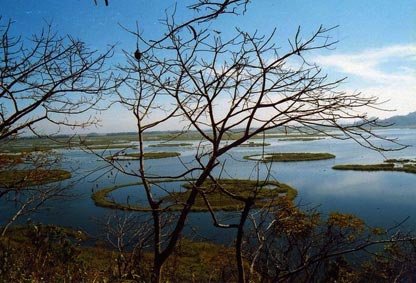 loktak-lake-manipur-p1.jpg