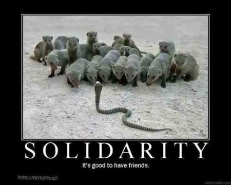 solidarity.jpg