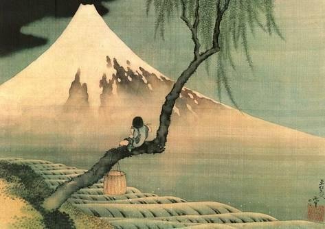 katsushika-hokusai-boy-on-the-tree_a-G-10254807-0.jpg