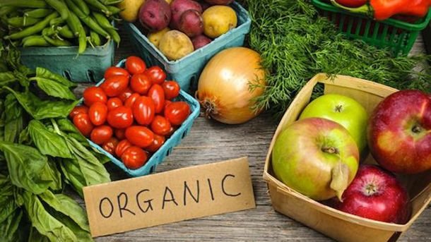 Organic-food-production-needs-direction-to-be-sustainable-warns-US-study (1).jpg