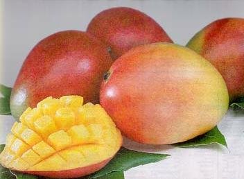 mangoes.jpg