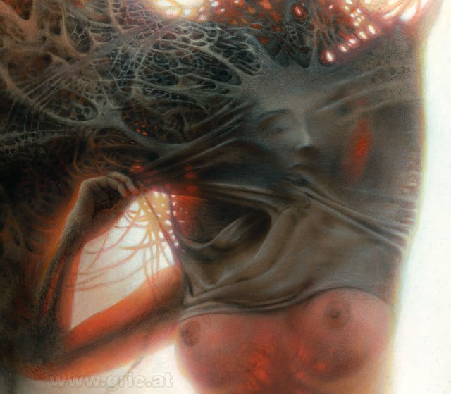 Transluzide Muse II.jpg