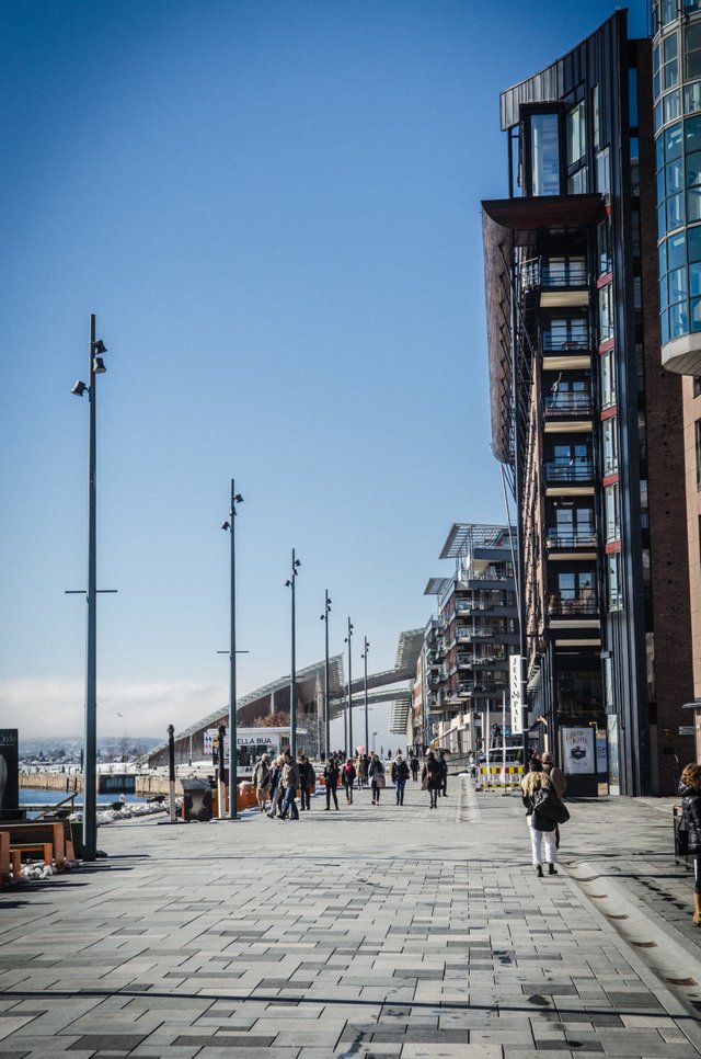 NIKON D7000_Oslo-3923.jpg