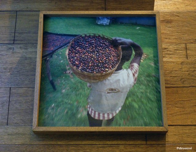 DSCF0365.JPG