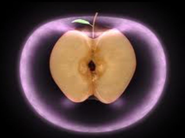 image.jpeg