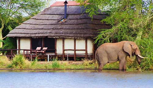 kruger-national-park-safari-lodges-fp.jpg