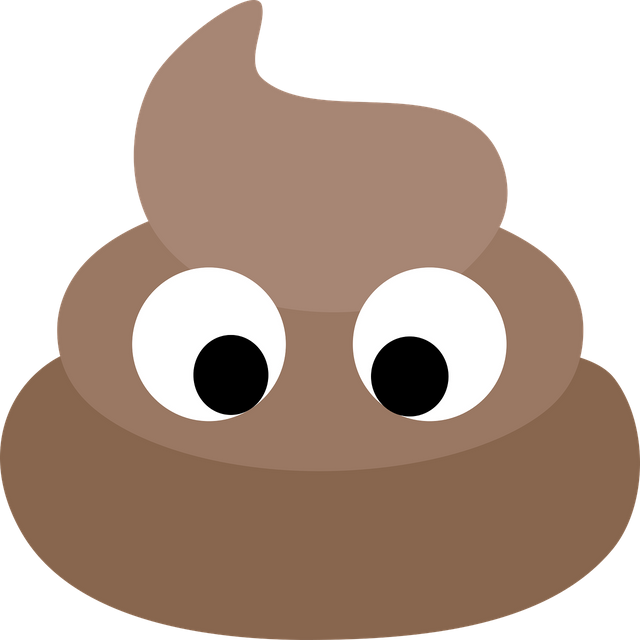 poop-2024794_1280.png