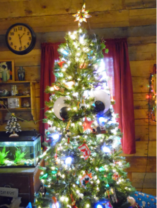 O Christmas Tree! O Christmas Tree!
