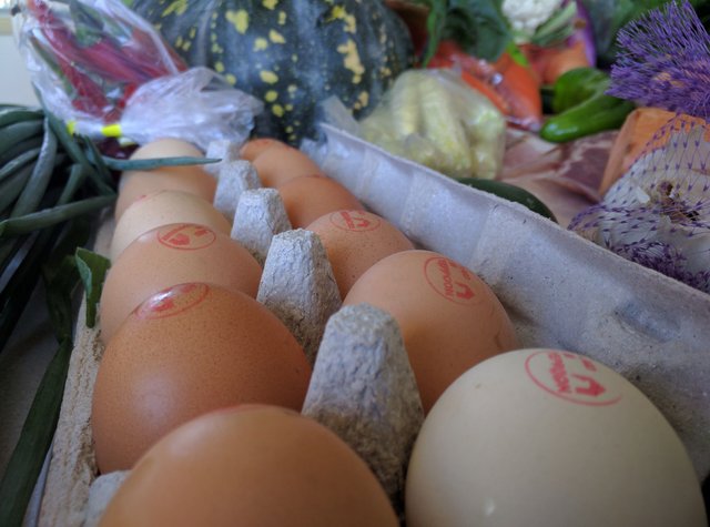 Pasture Eggs.jpg