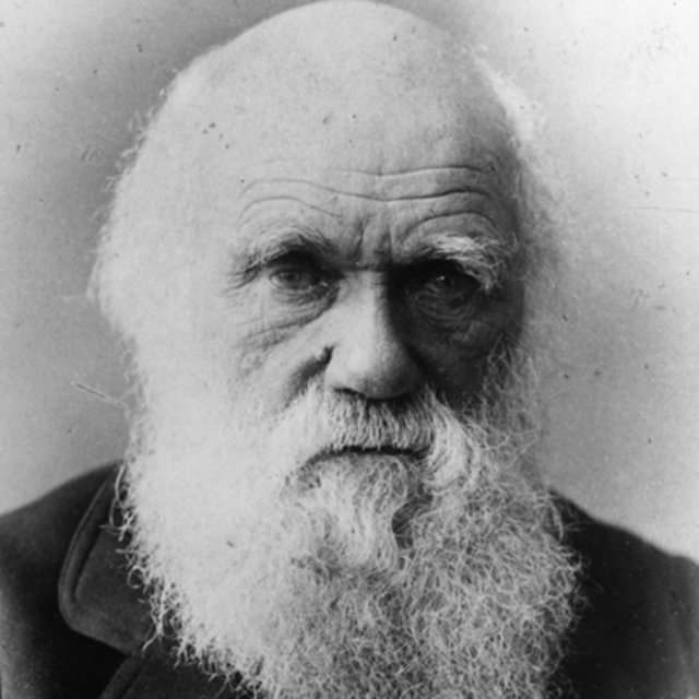 charles-darwin-9266433-1-402.jpg