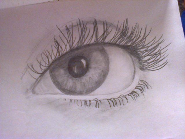  Mis dos diferentes tipos de ojo en el dibujo.